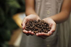 Why Fine Robusta Coffee Deserves Your Attention: Breaking Stereotypes and Embracing Quality
