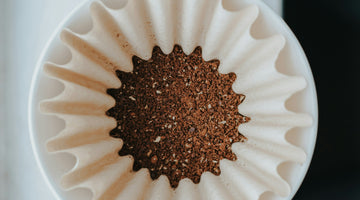 Light Roast Coffee - A Subtle Symphony of Flavors