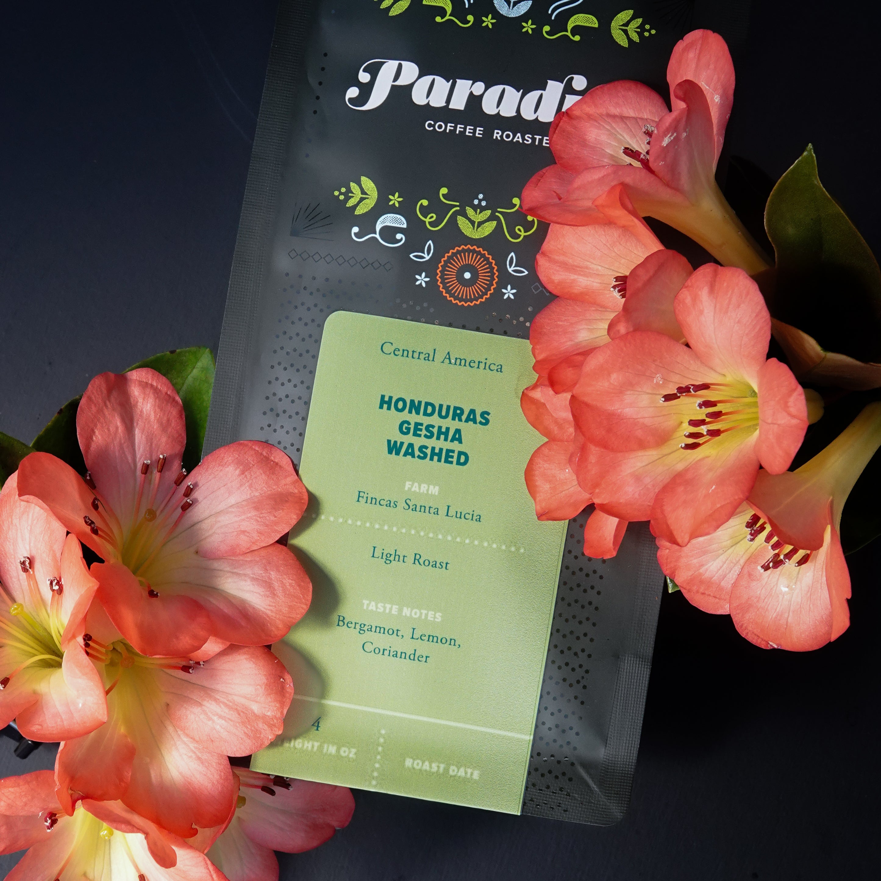 Honduras Santa Lucia Gesha | Paradise Roasters – Paradise Coffee