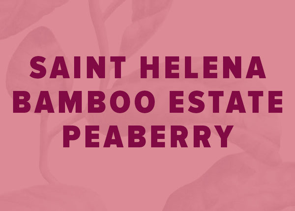 Saint Helena Island Peaberry- Bamboo Hedge Estate