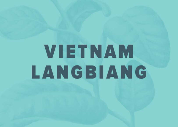 Vietnam Langbiang - Tâm & Pat