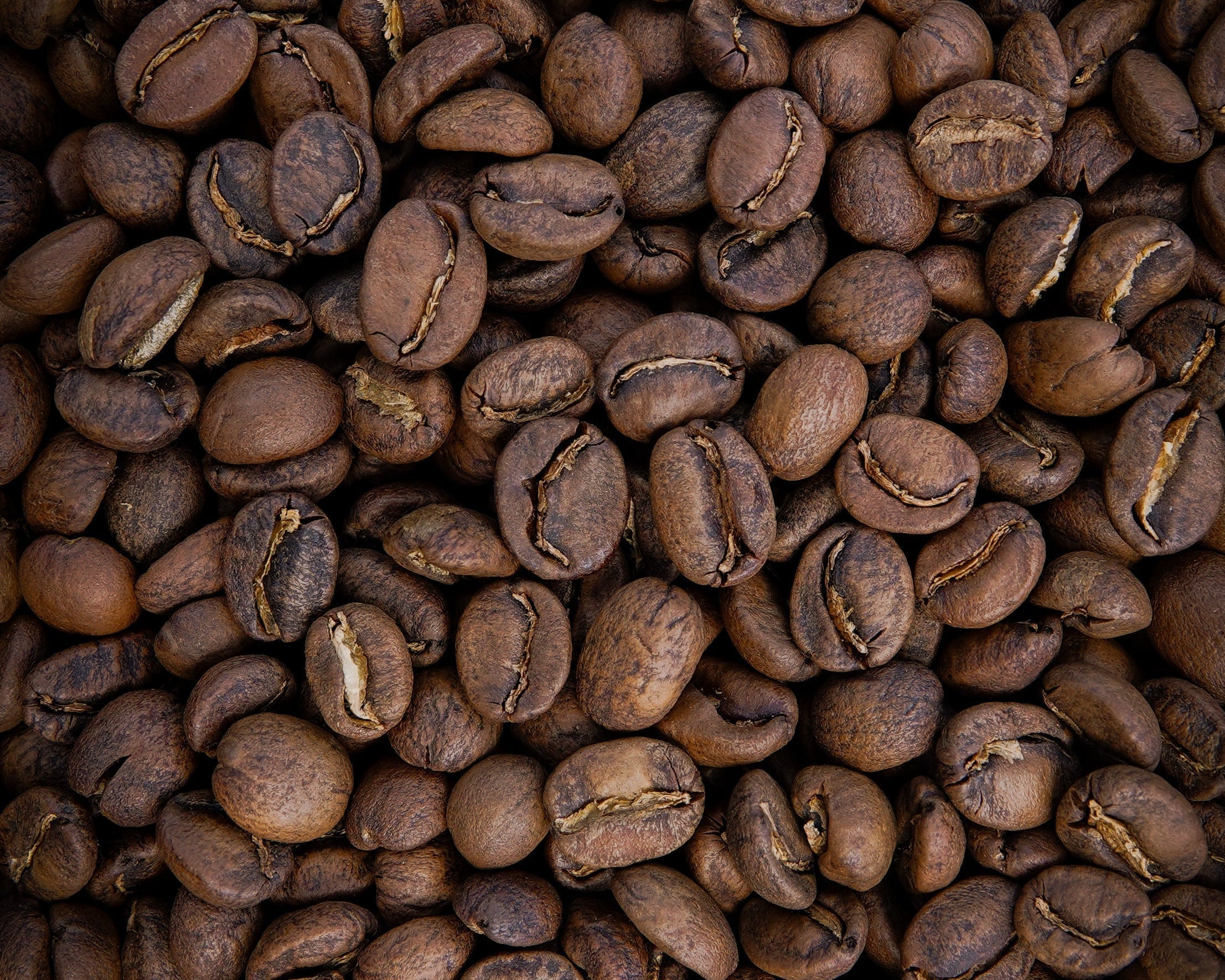 Light vs Medium Roast Coffee beans in natural light – comparing color and texture at Paradise Coffee Roasters
