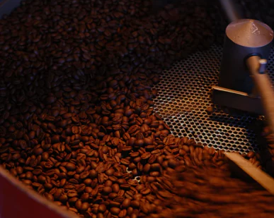 Espresso Yourself: How Specialty Coffees Can Perk Up Your Day (and Your Taste Buds)