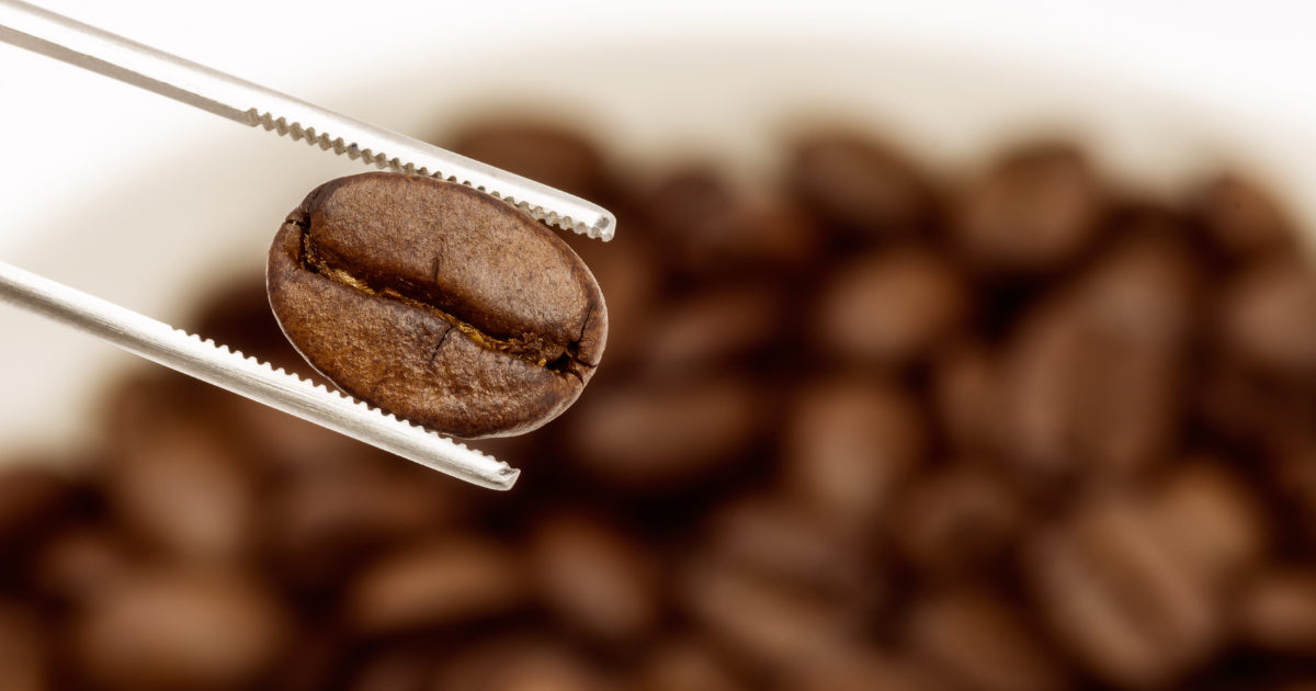 specialty coffee beans Hot Sale What is Specialty Coffee what makes it so Special Landed