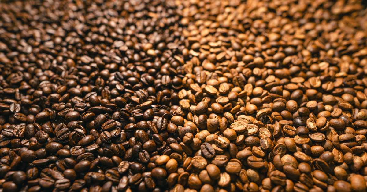 Vibrant Coffee Roasters - Specialty Coffee & Dynamic Light Roasts
