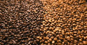 The Bean’s Journey: Exploring the Contrast Between Light Roast vs Dark Roast in Specialty Coffee