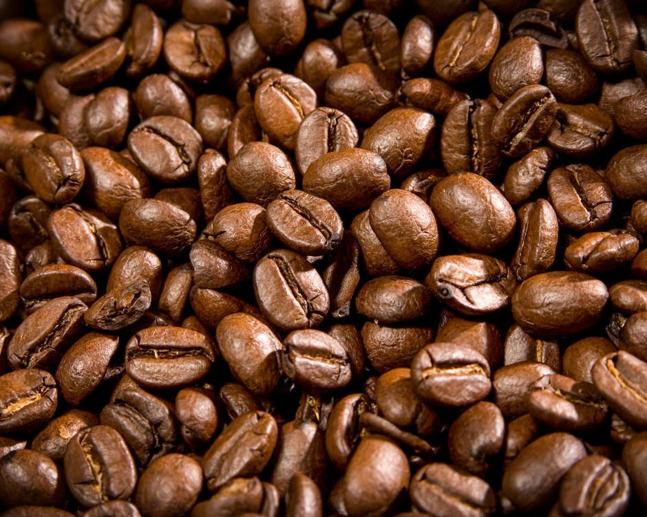 Unveiling the Magic of Coffee Robusta: A Guide for Adventurous Taste Buds