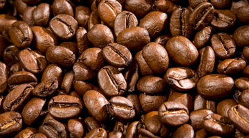 Unveiling the Magic of Coffee Robusta: A Guide for Adventurous Taste Buds