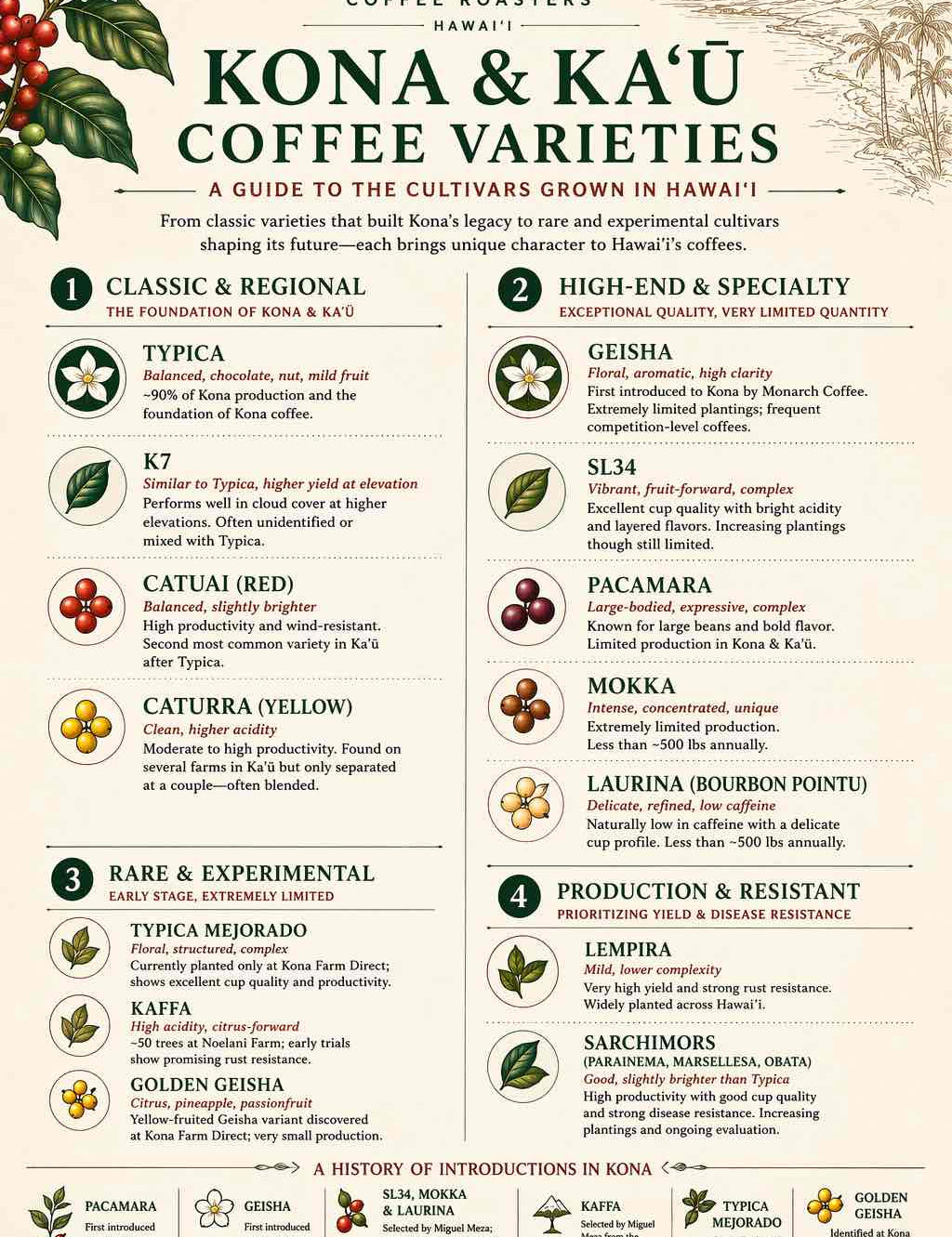 Kona Coffee Varieties: A Guide to the Cultivars Grown in Hawai‘i