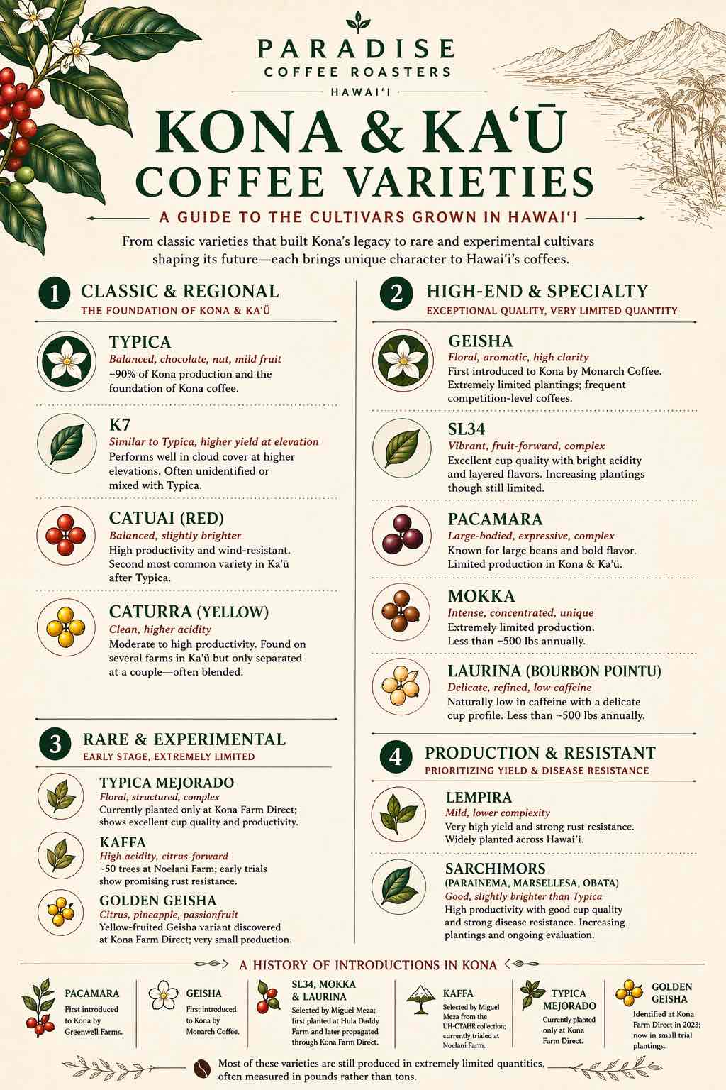 Kona Coffee Varieties: A Guide to the Cultivars Grown in Hawai‘i