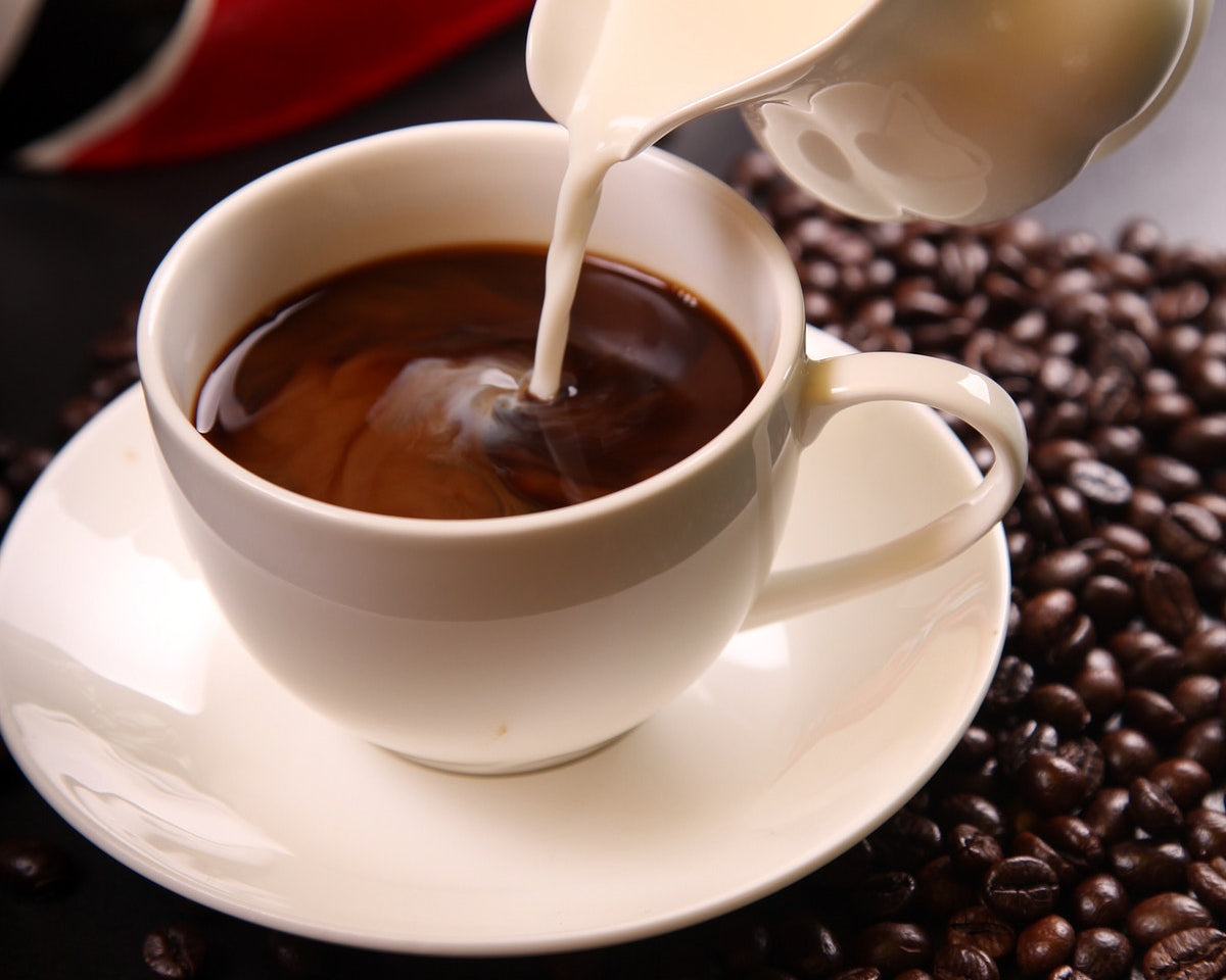 Arabica vs Robusta Coffee – Which One Suits Your Taste?