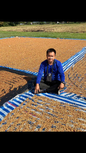 Coffee roaster sitting beside drying cherries on raised patios.