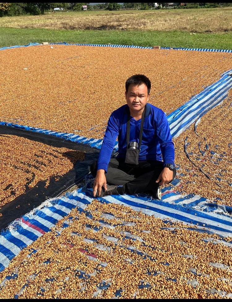 Coffee roaster sitting beside drying cherries on raised patios.