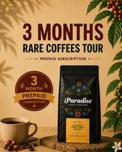3 Month Prepaid Gift Subscription - Rare Coffees Tour 4oz