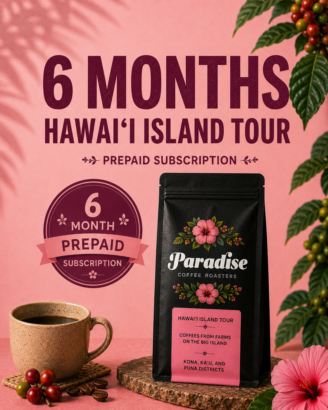 6_month_hawai_island_subs.png