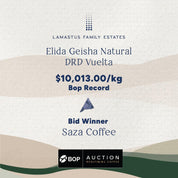 Panama Geisha Vuelta DRD Natural - PRESALE