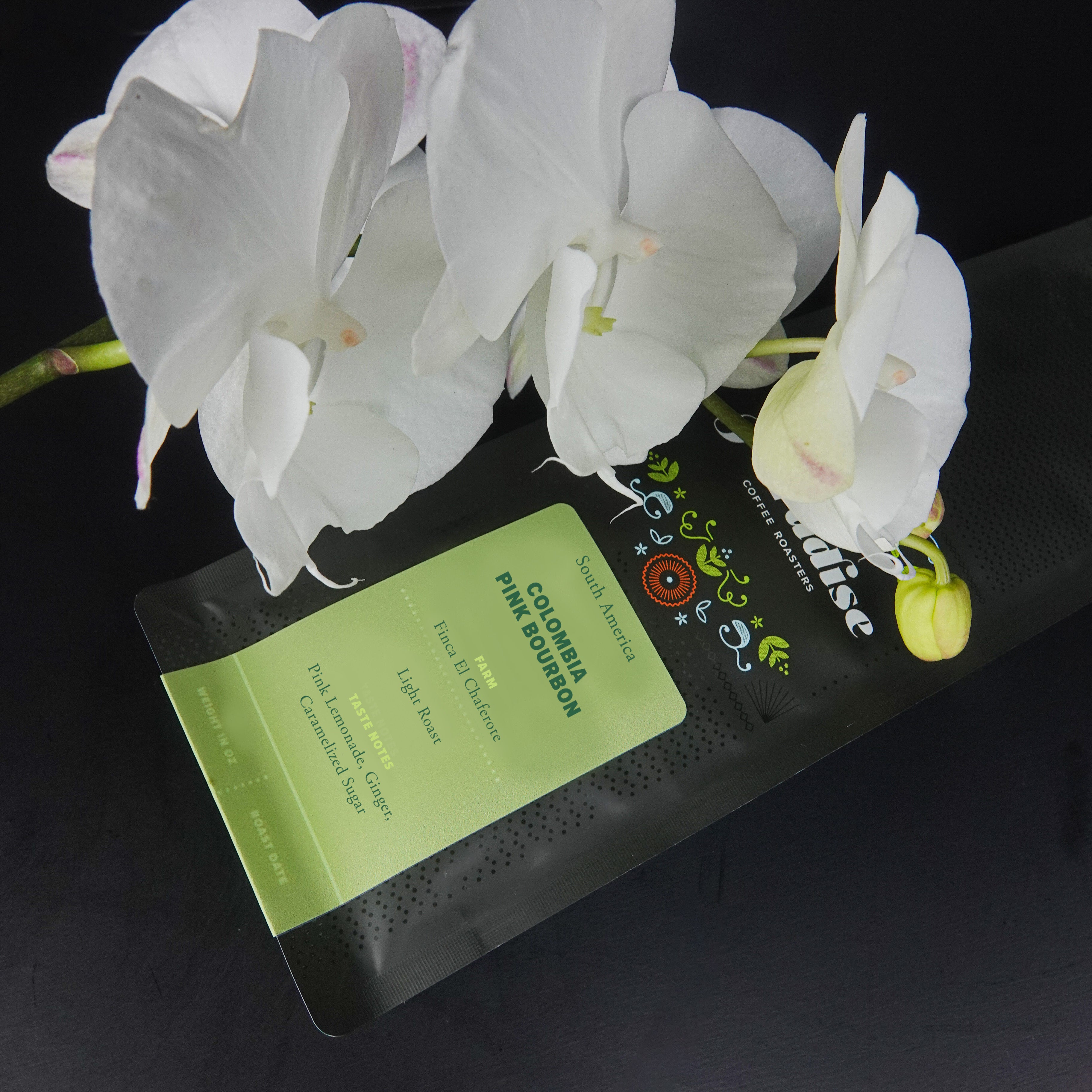 Colombia Pink Bourbon - Finca El Chaferote