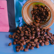 コナ SL34 アナエロビックウォッシュド - コナレインフォレスト