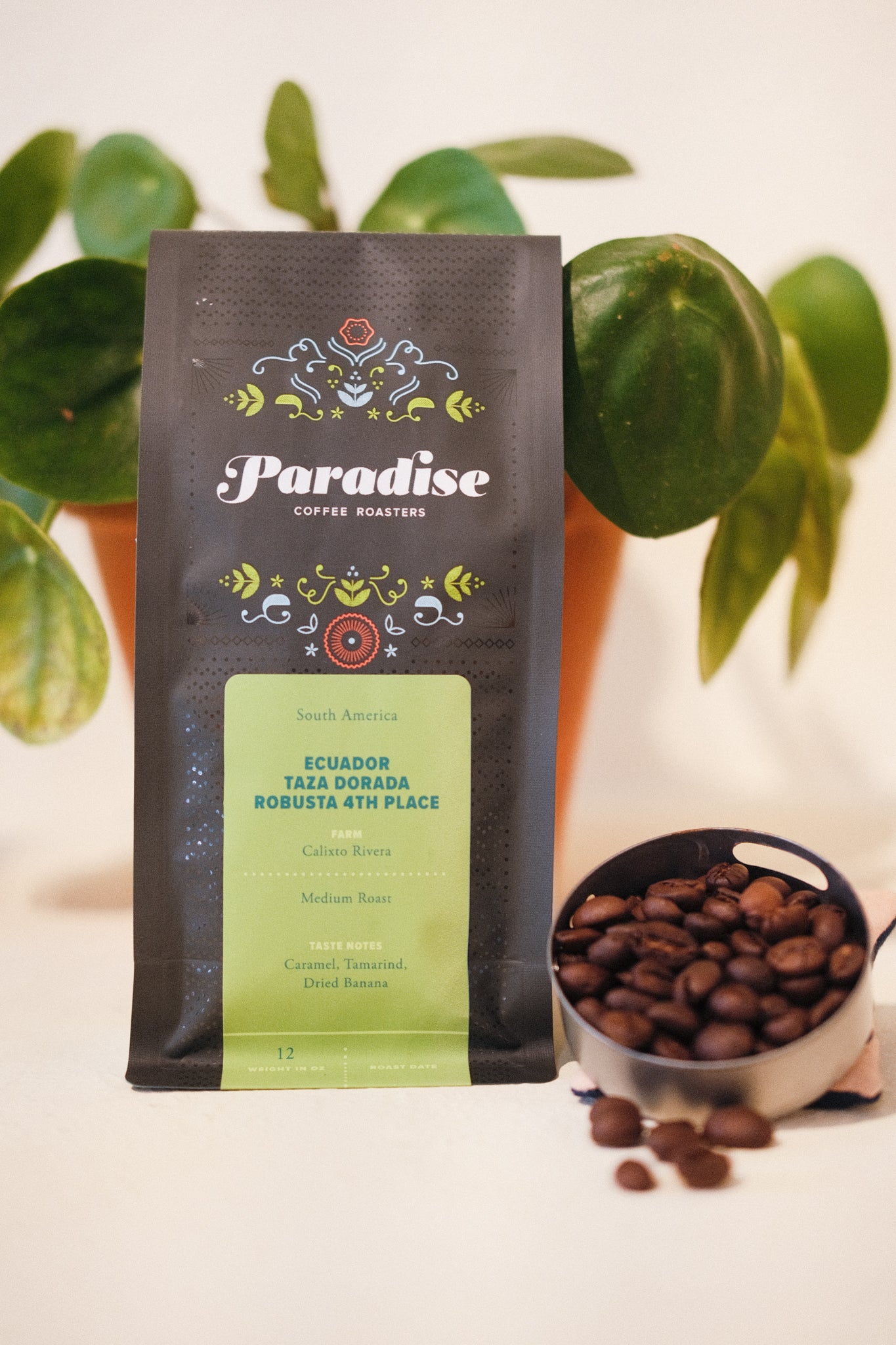 Ecuador Taza Dorada Robusta 3rd Place -Conilon Natural