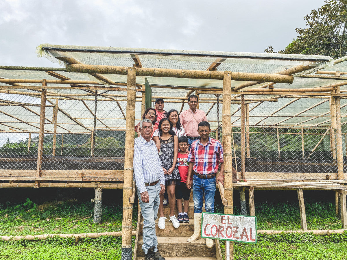 コロンビア ピンクブルボン ナチュラル -ウイラ・マジコ 5位