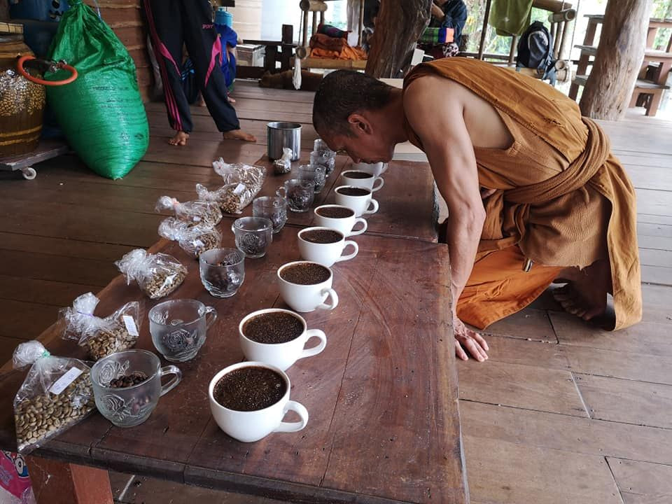 Thailand Robusta Black Honey