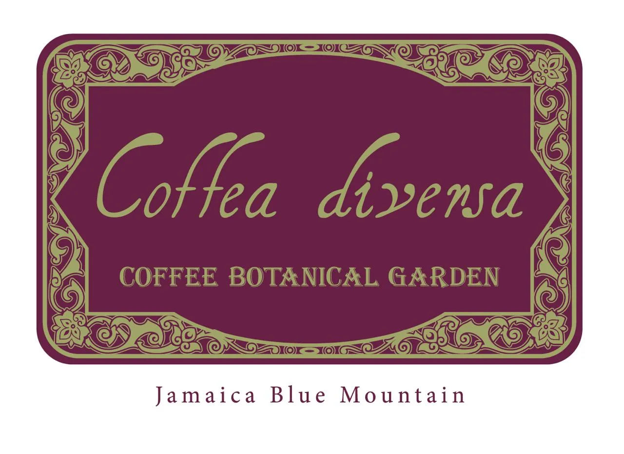 Jamaica Blue Mountain - Coffea Diversa Reserve - Geisha + Bourbon Rey