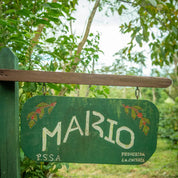 Aged Panama Geisha Natural  Vintage 2022-Hacienda La Esmeralda