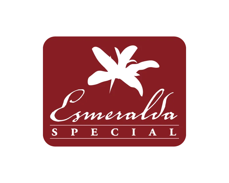 Aged Panama Geisha Natural  Vintage 2022-Hacienda La Esmeralda