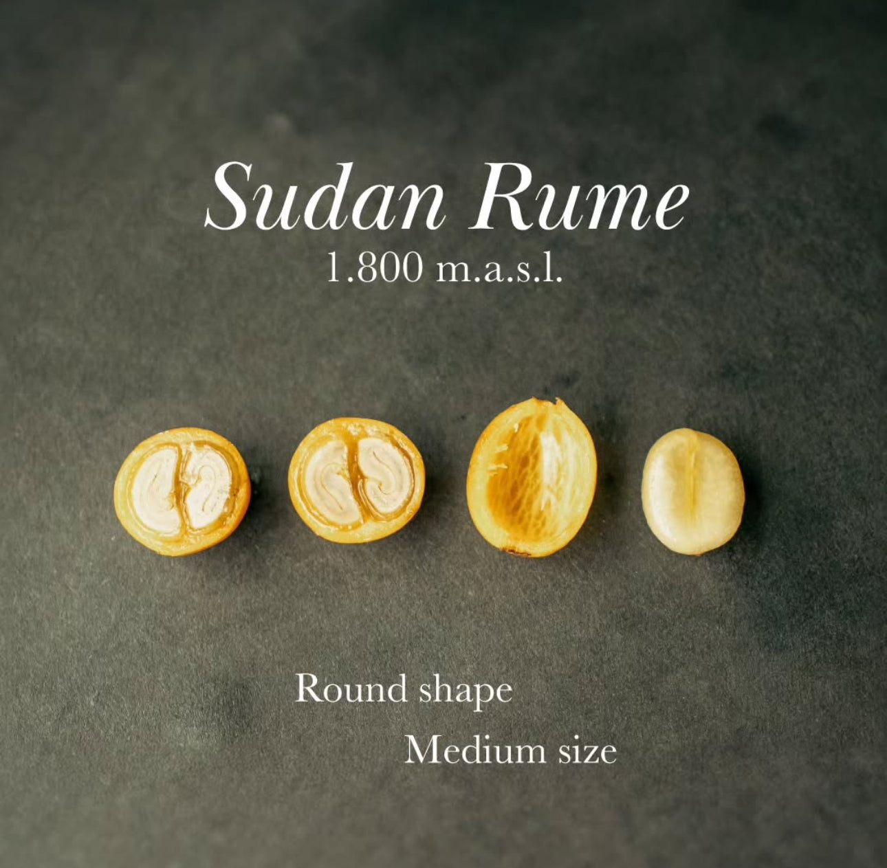 Colombia Yellow Rume Sudan