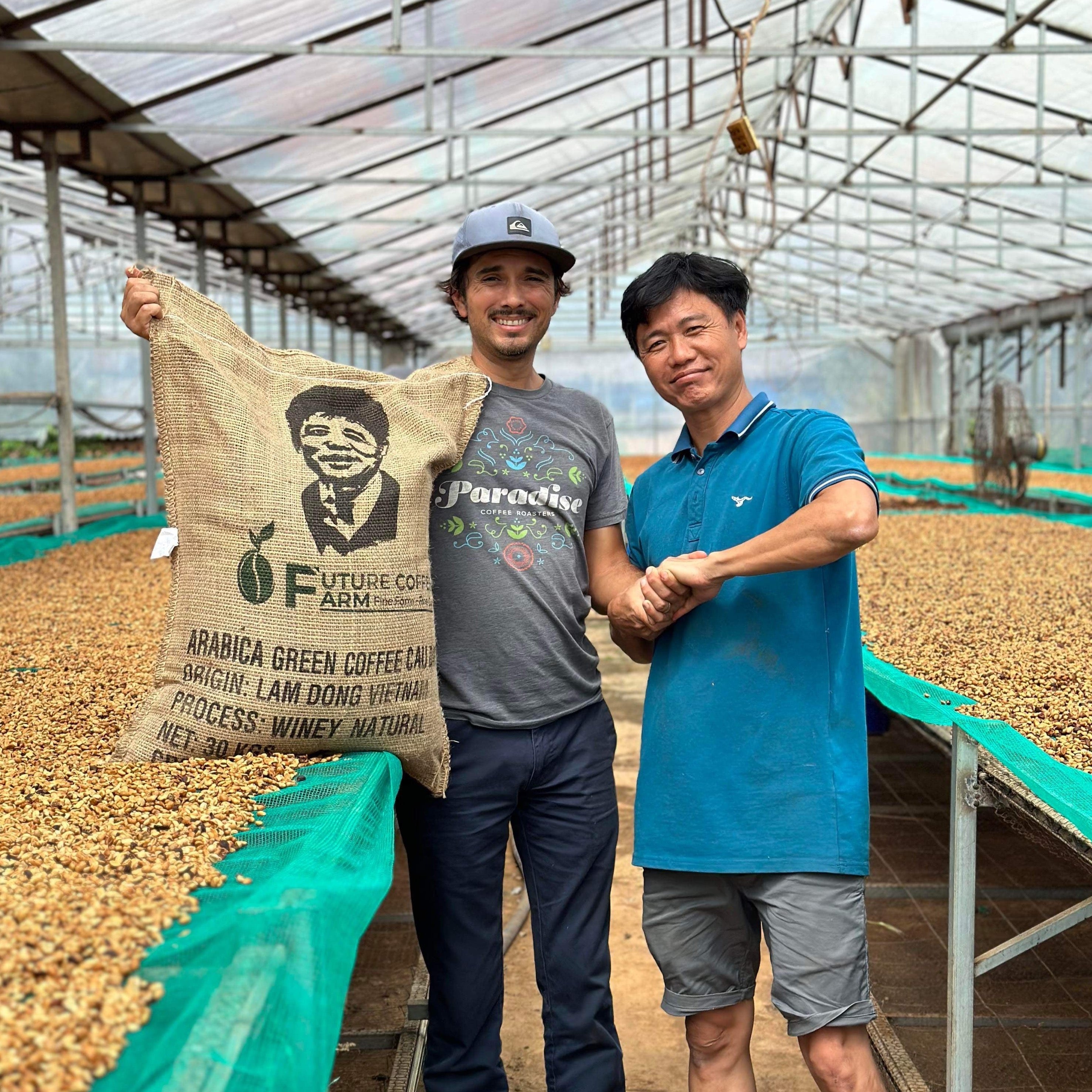 Vietnam Robusta Champagne Natural - Future Farm