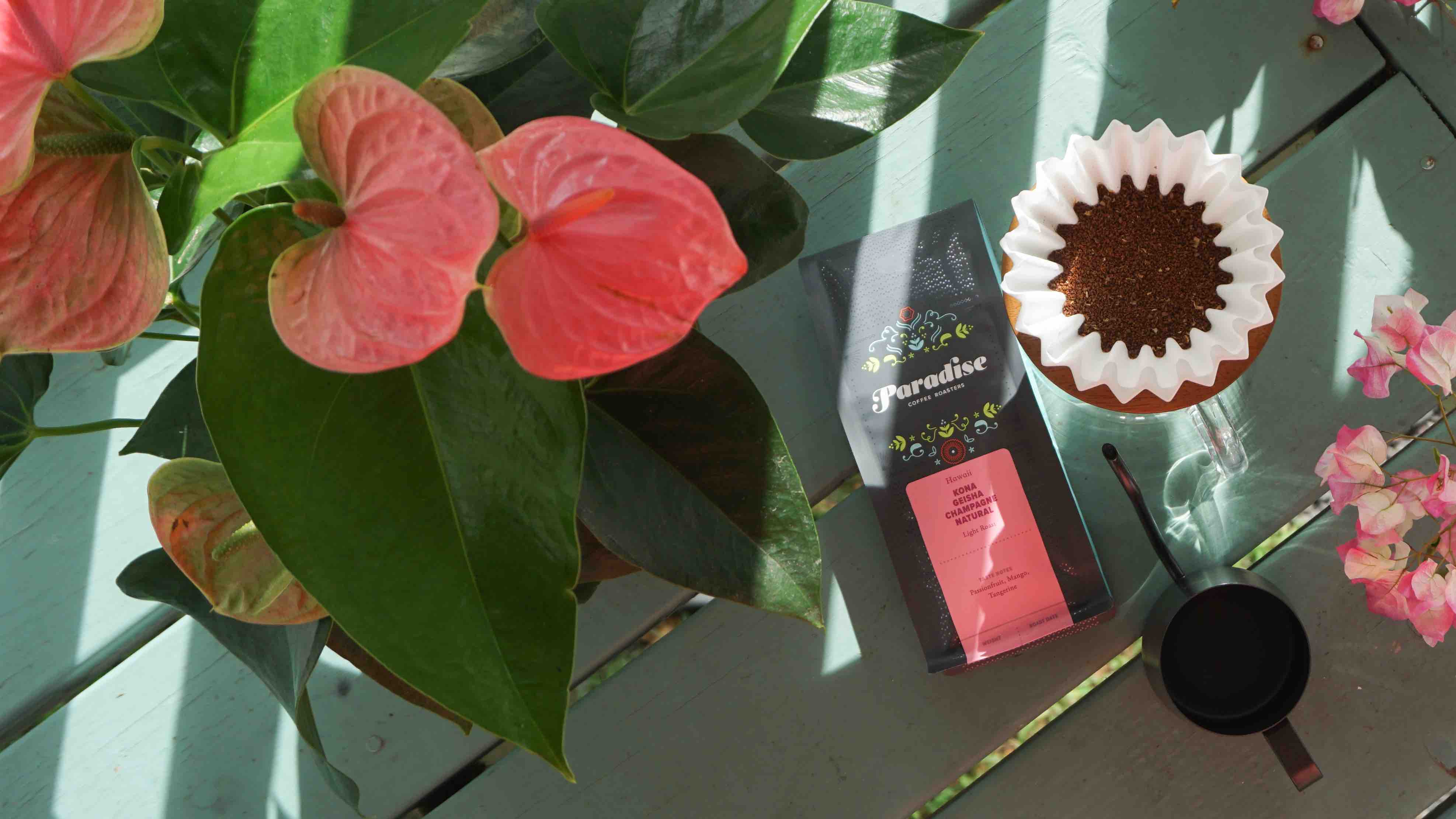 Kona Geisha Champagne Natural coffee bag on sunlit table with a pour-over filter of ground coffee, surrounded by pink anthurium and tropical flowers.