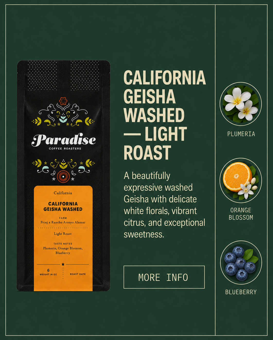 California Geisha Washed — Rancho Arroyo Alamar × FRINJ