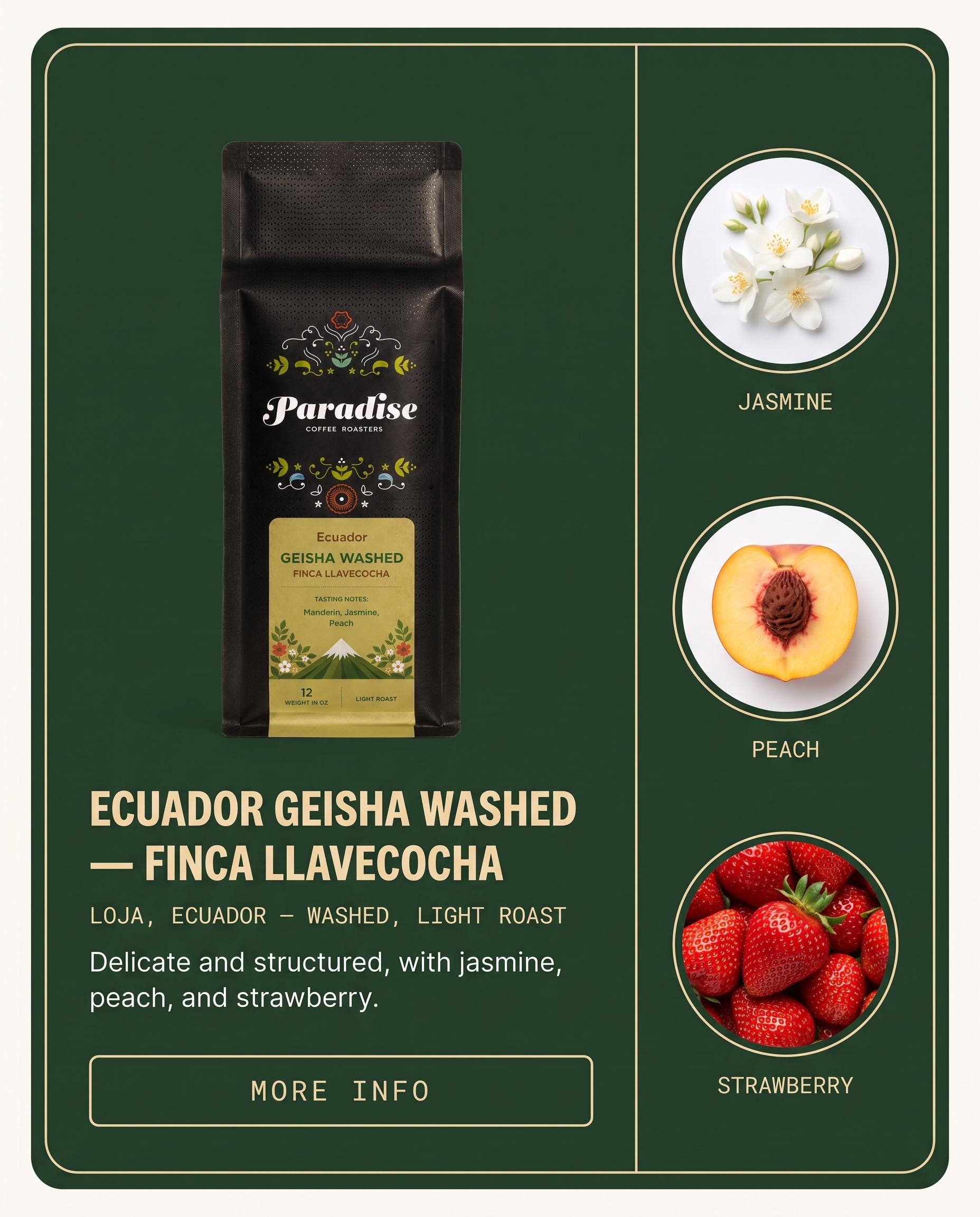 ecuador_geisha_washed_36a03828-c024-45bf-bc70-e6196b91c585.png