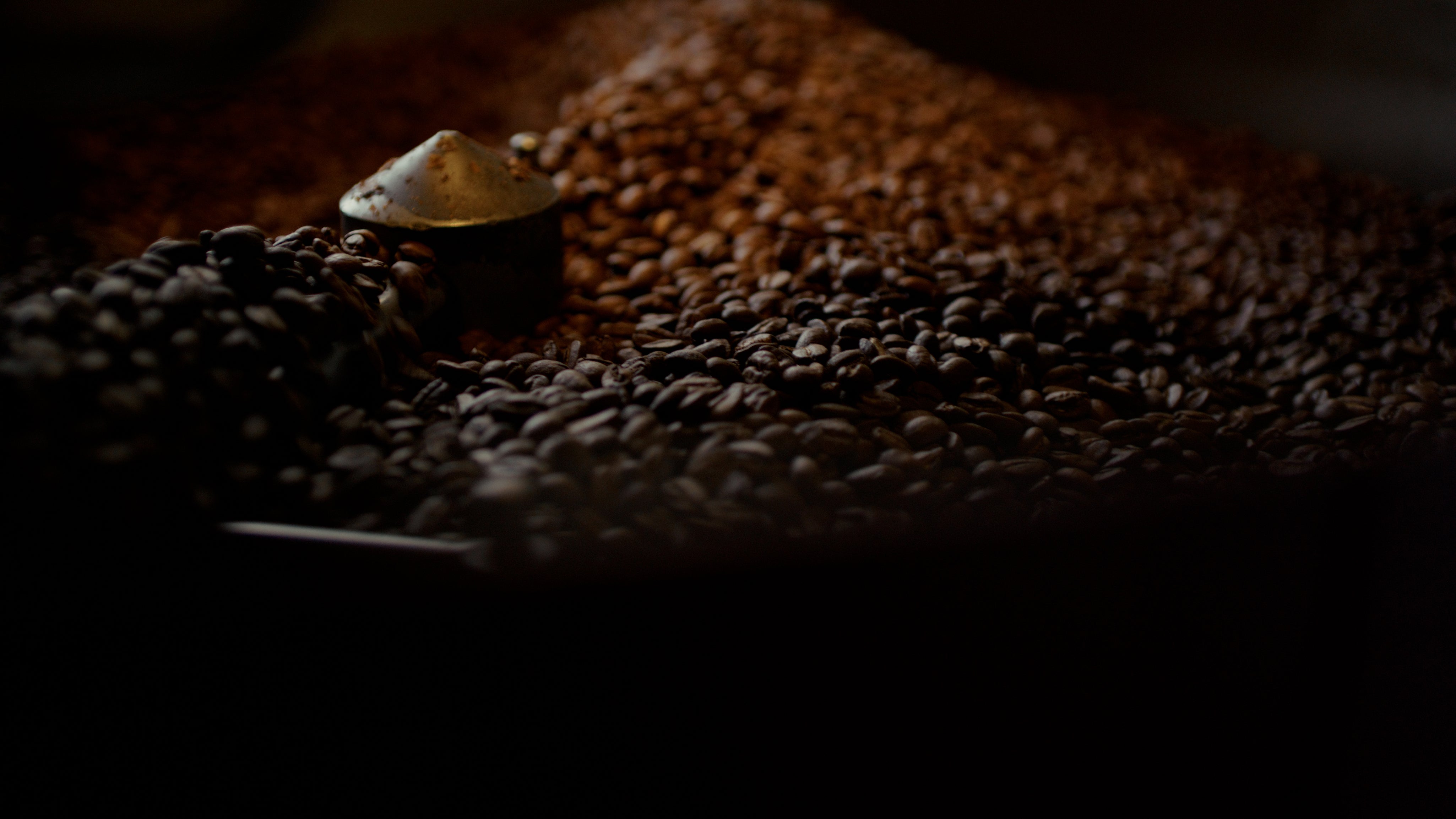 fresh-roasted-kona-coffee-beans_48debe36-65e5-44a0-97a8-c568ab794af9.jpg