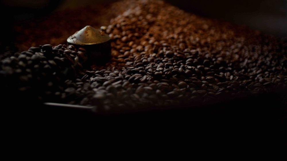 fresh roasted coffee beans in the cooling tray