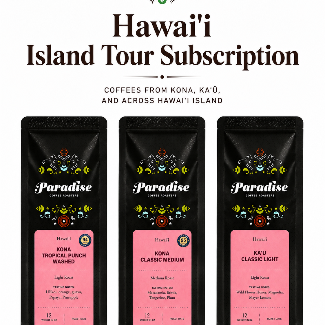 hawaii_island_tour.png