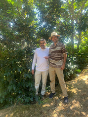 Jamaica Blue Mountain -Clifton Mount Natural