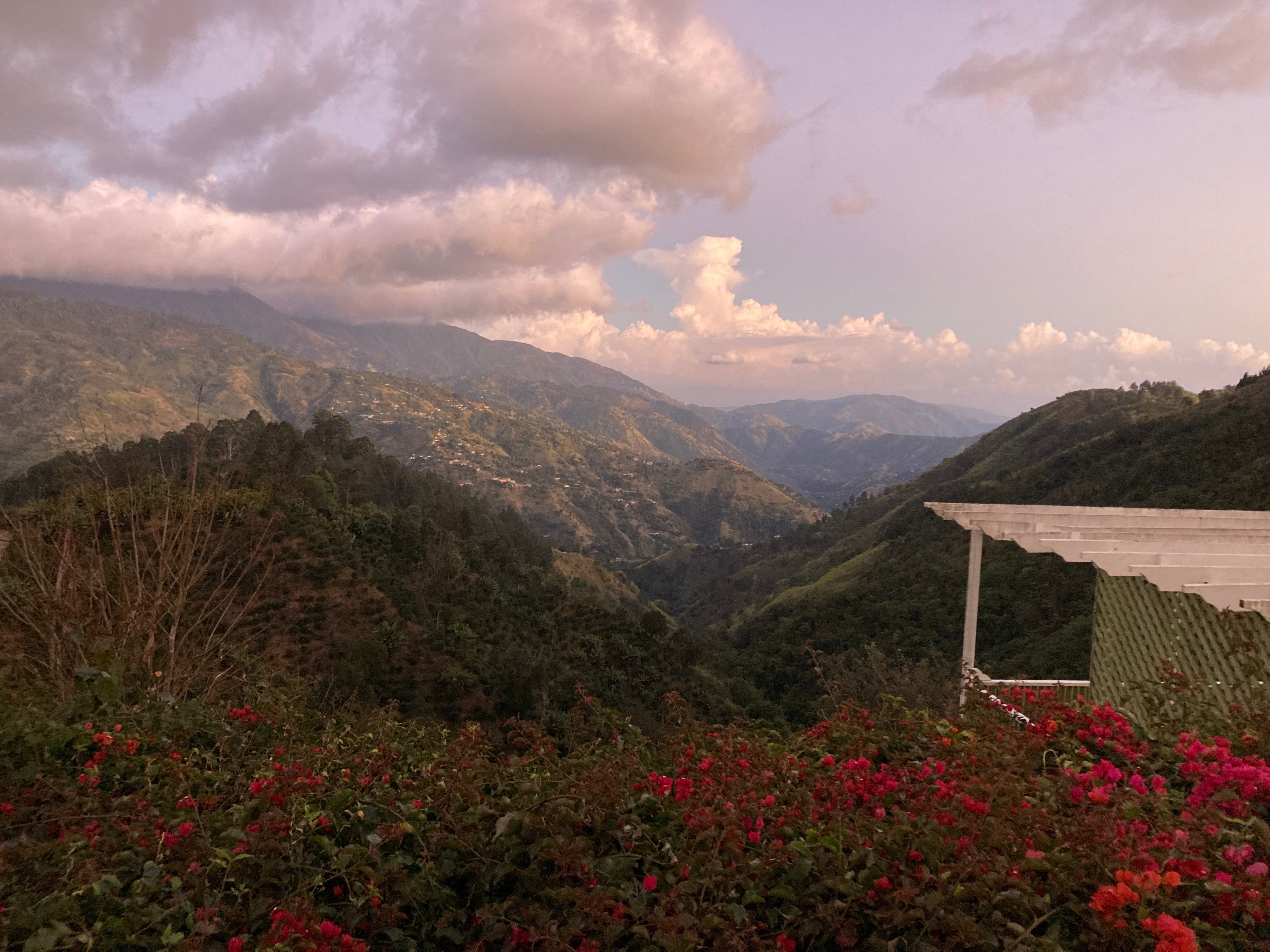 Jamaica Blue Mountain -Clifton Mount Natural