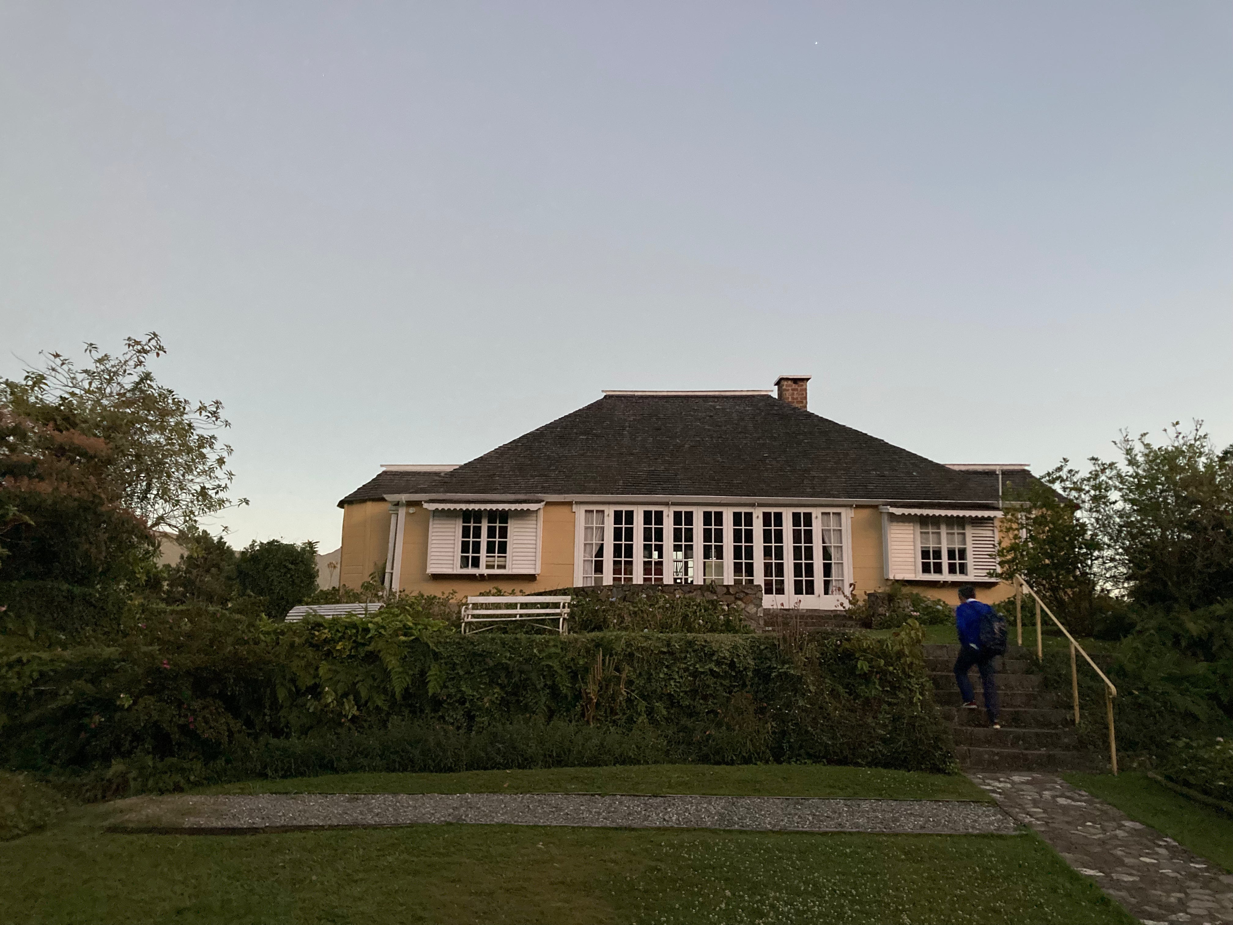 Jamaica Blue Mountain -Clifton Mount Natural