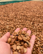 ベトナム バーボン アナエロビック ハニー エスプレッソ