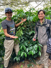 ベトナム産ブルボン嫌気性ハニー