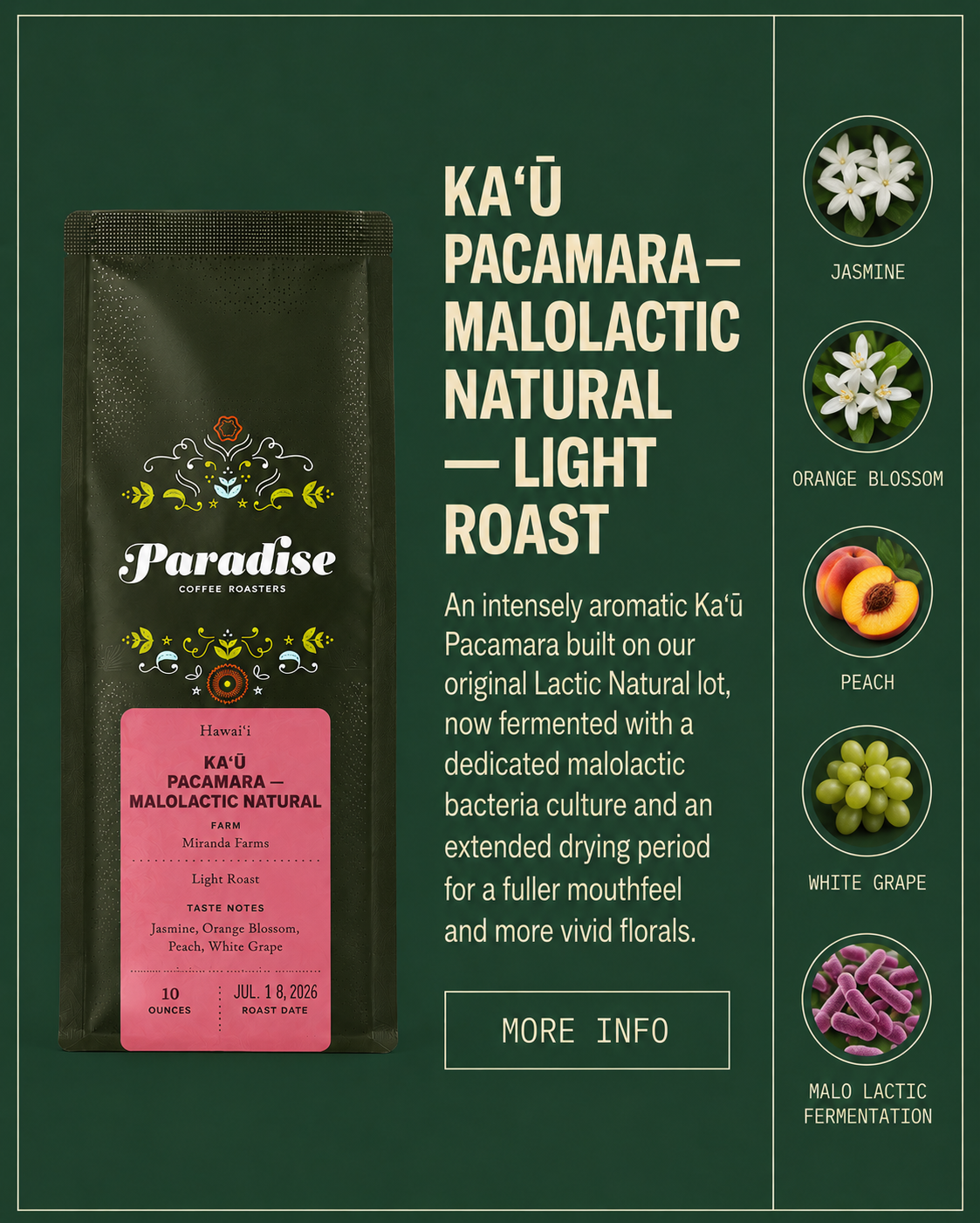 Ka‘ū Pacamara — Malolactic Natural