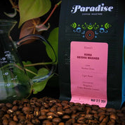 Kona Geisha Noelani — Washed Cold Ferment | 100% Kona Coffee (Light Roast)