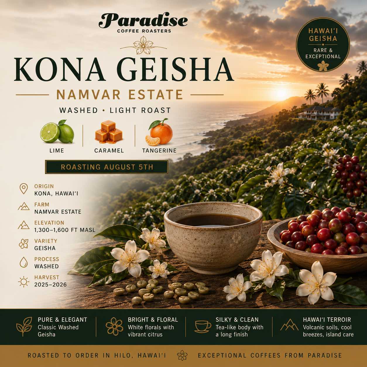 kona-namvar-geisha.jpg