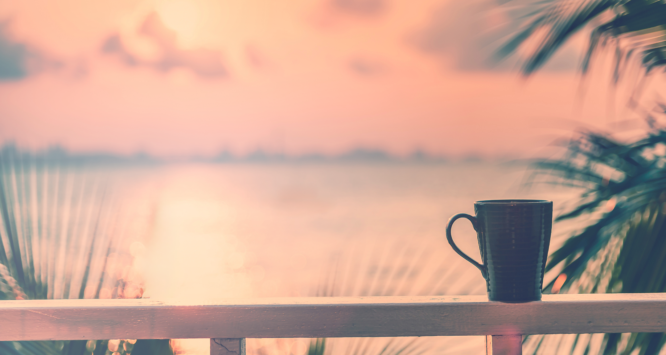 kona-sunset-coffee-cup.png