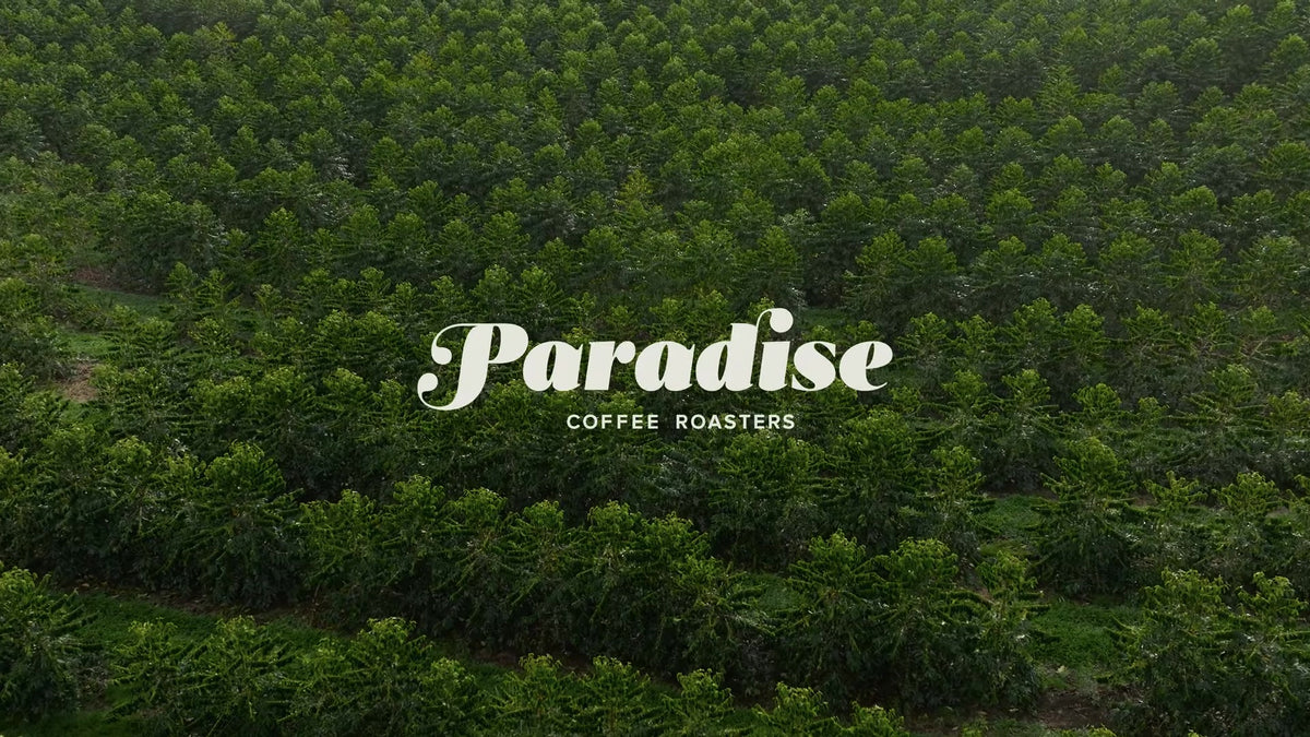 Paradise Coffee Roasters