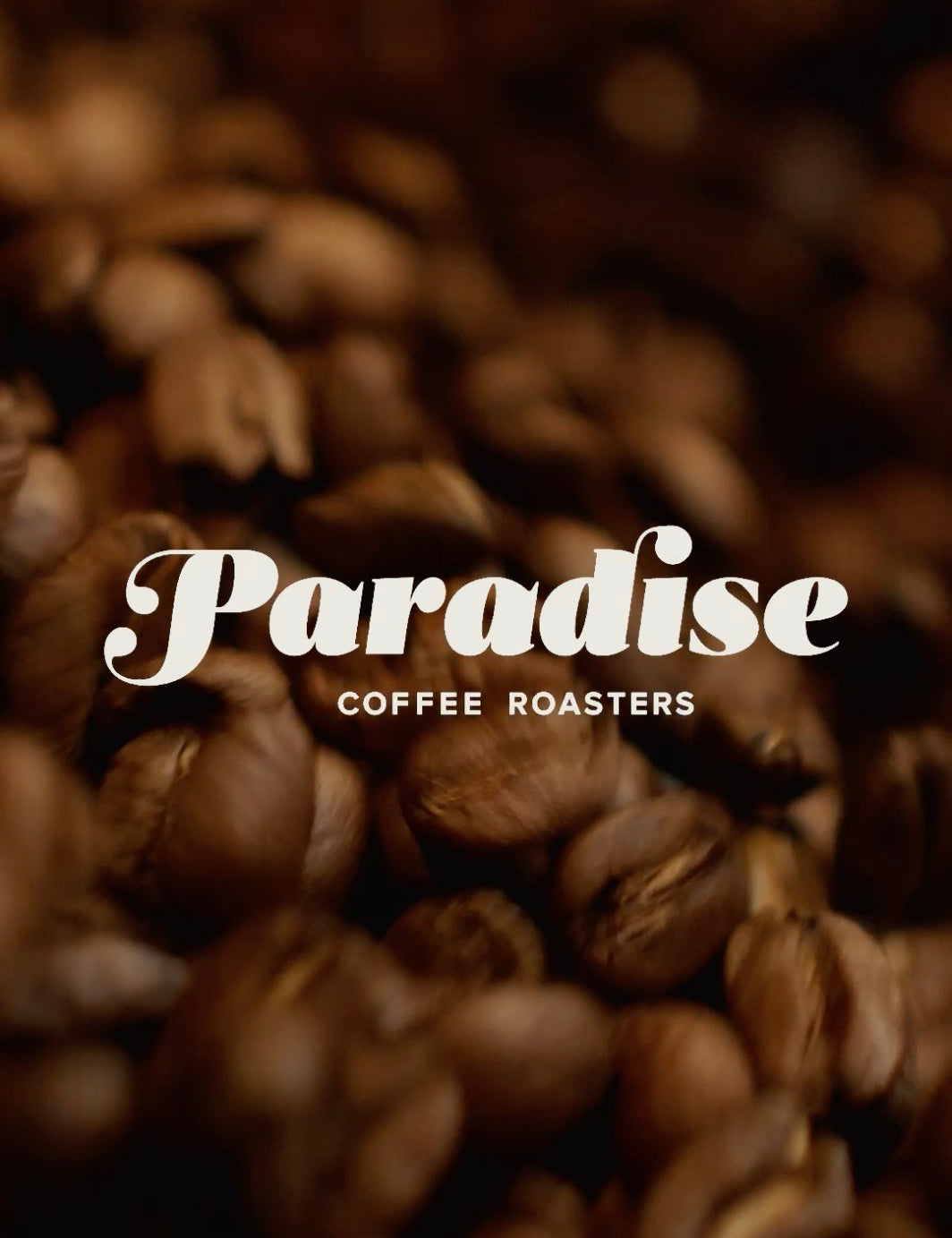 Kona Coffee medium roast beans in cooling tray at Paradise Coffee Roasters