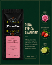 Puna Typica - Anaerobic Honey