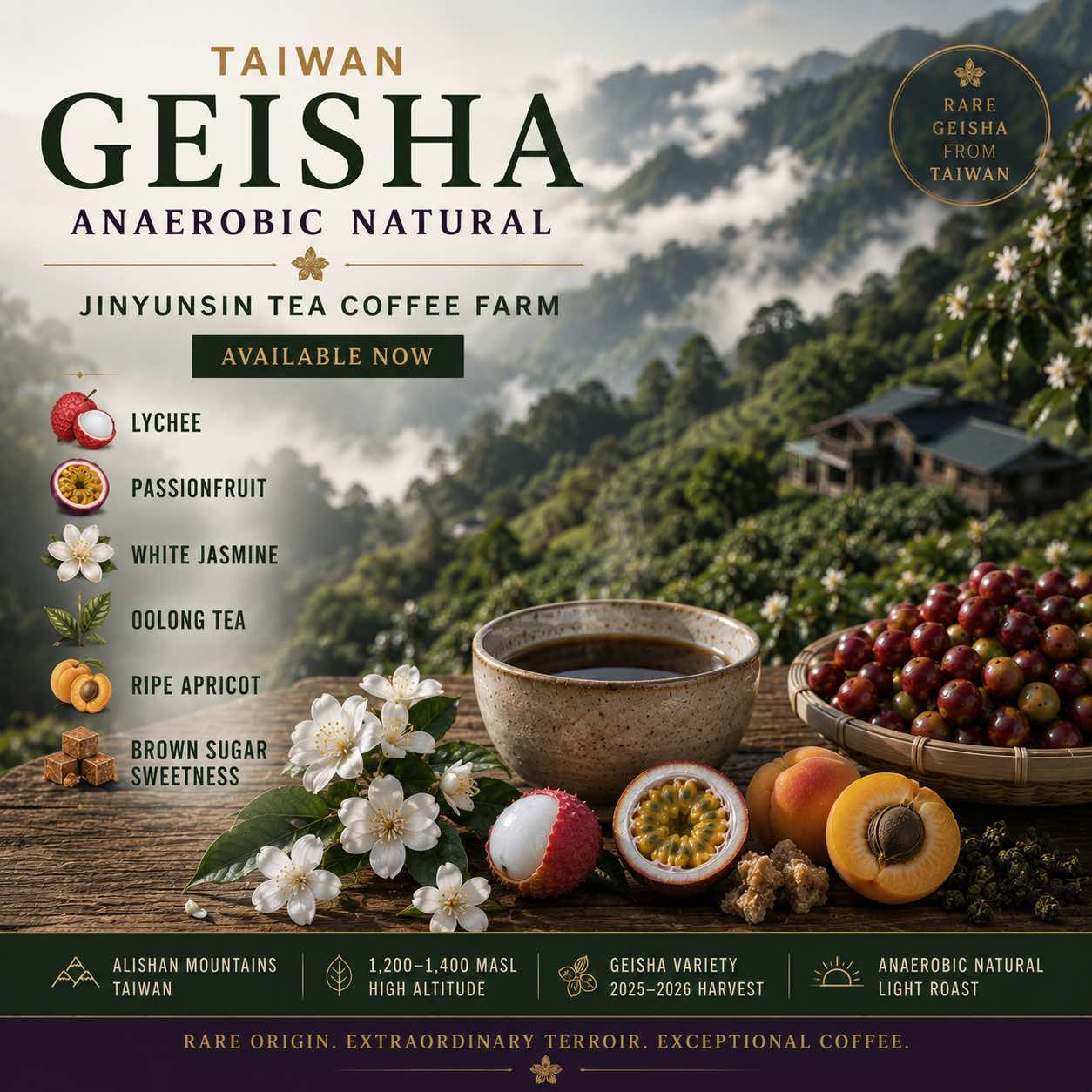 Promotional graphic for a Taiwan Geisha anaerobic natural Jinyunsin tea coffee. The top features the text 'TAIWAN GEISHA ANAEROBIC NATURAL' and 'JINYUNSLIN TEA COFFEE FARM AVAILABLE NOW' over a misty mountain landscape.