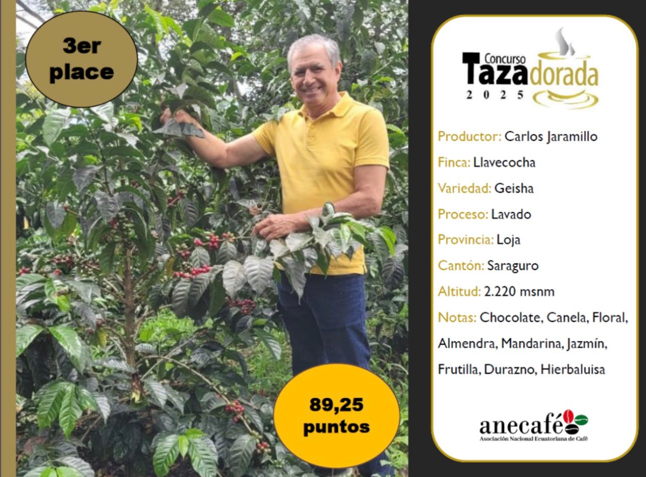 Ecuador Geisha Washed — Finca Llavecocha